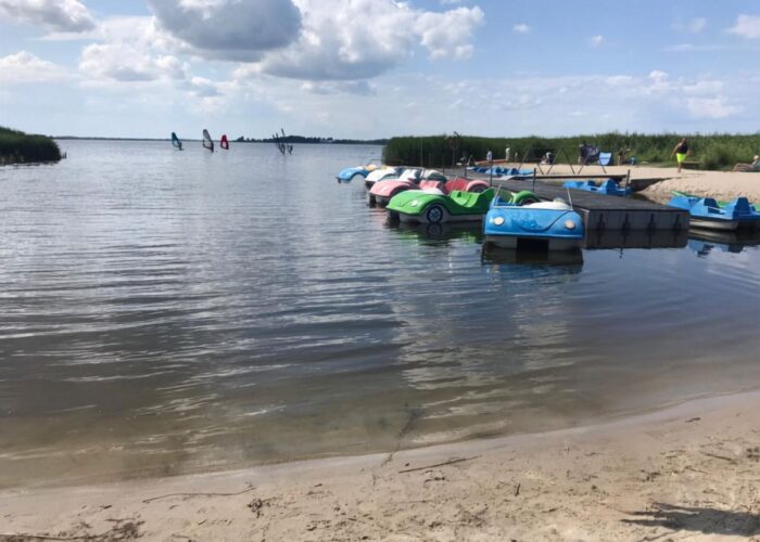 Bunte Tretboote an einem flachen Strandabschnitt.