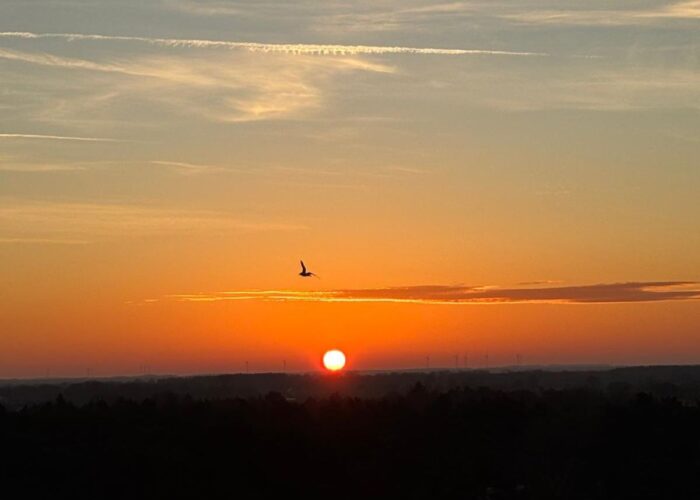 Sonnenuntergang über der Ostsee mit orangefarbenem Himmel.