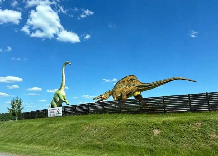 Dinosaurierpark in Dziwnów mit lebensgroßen Dinosaurierfiguren auf einer Grünfläche hinter einem Holzzaun unter blauem Himmel.